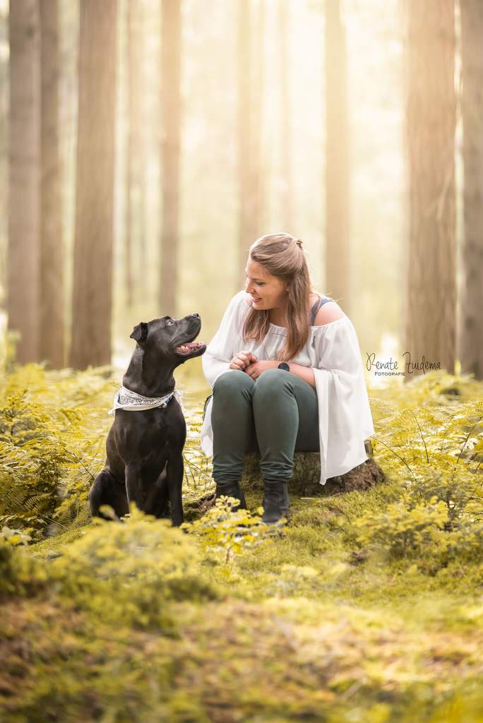 Hond kijkt naar instructeur