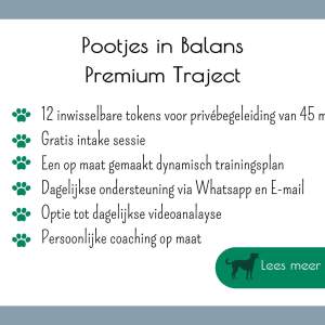 Gedragstherapie honden