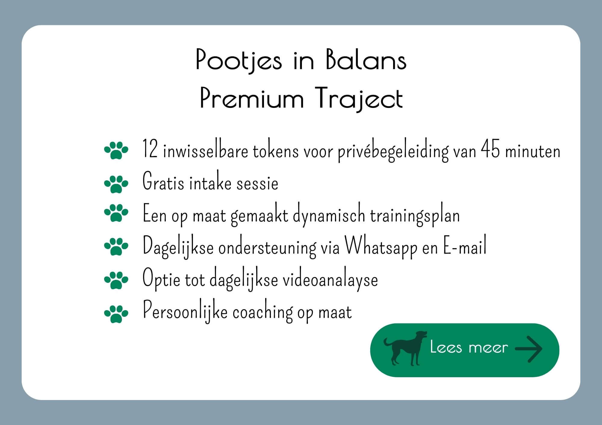 Pootjes in Balans Premium traject, eerste kennismaking met een honden gedragstraject speciaal voor reactieve honden