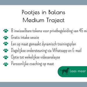 Gedragstherapie honden