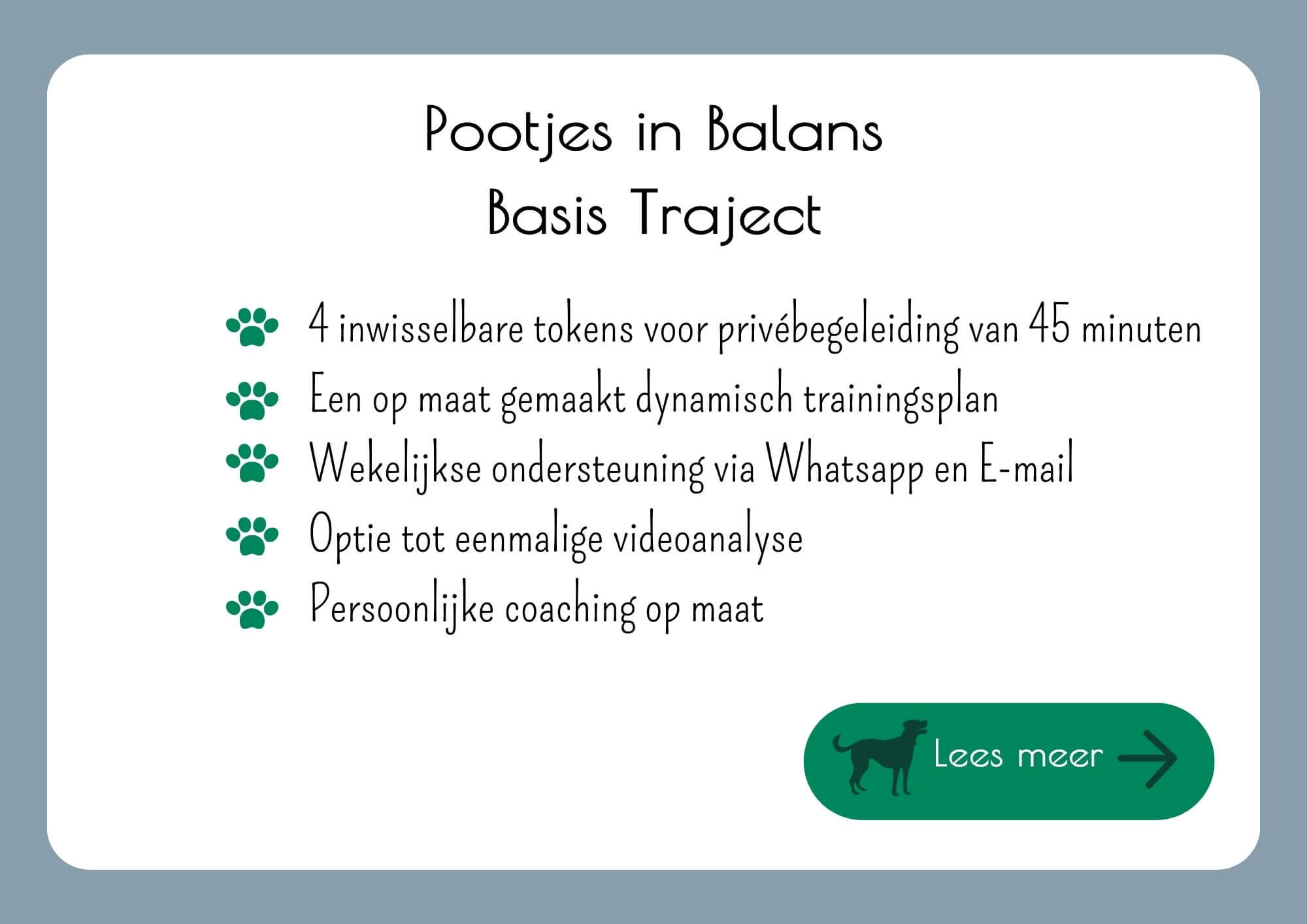 Pootjes in Balans Basis traject, eerste kennismaking met een honden gedragstraject speciaal voor reactieve honden