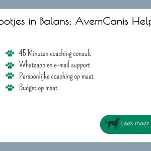 Pootjes in Balans AvemCanis Helpt hondentraining en gedragsconsulten
