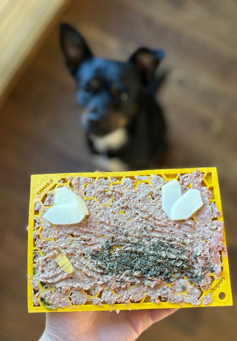 Likmat inspiratie: Het perfecte recept voor jouw hond